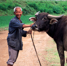 小型飼料顆粒機(jī),農(nóng)民圓夢(mèng)！